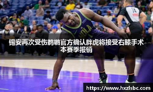 星空·综合体育官方网站